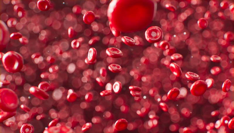 دور جيفينوستات في علاج كثرة الحمر الحمراء: كل ما تحتاج إلى معرفته